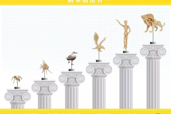SEAGULL : THE SCRIPT READING